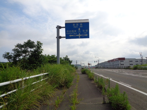 DSC08521