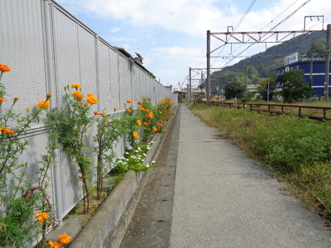 DSC05596