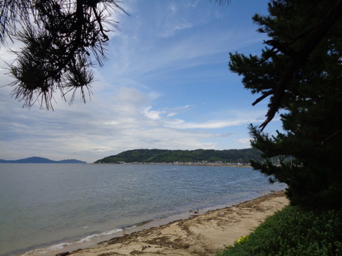 DSC00515