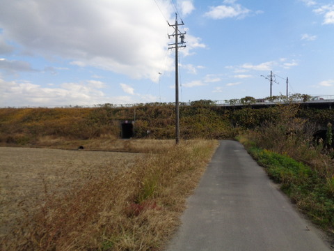 DSC06996