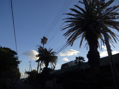 DSC01204