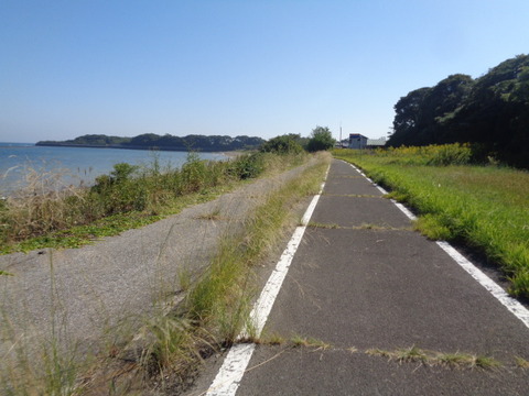 DSC09981
