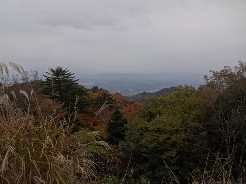 DSC01369