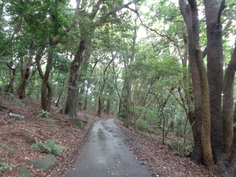 DSC00969