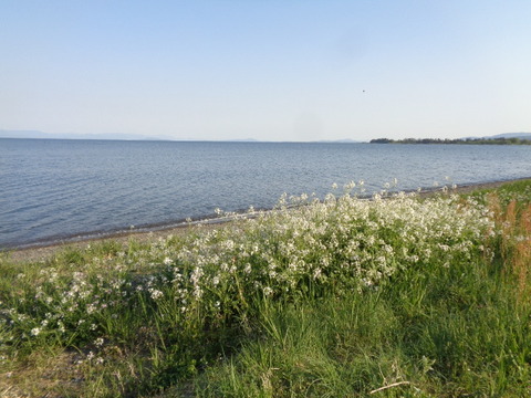 DSC03269