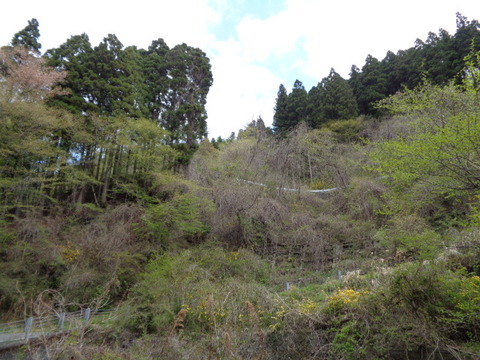 DSC00009