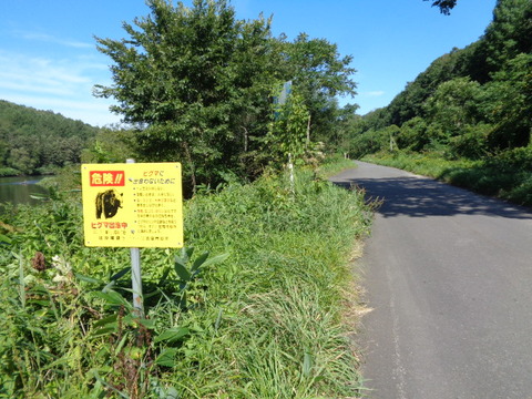 DSC04381