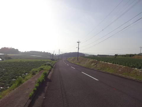 DSC06095