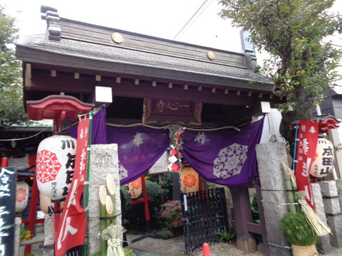 DSC08555