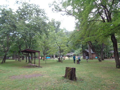DSC03767