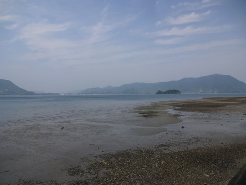 DSC07173
