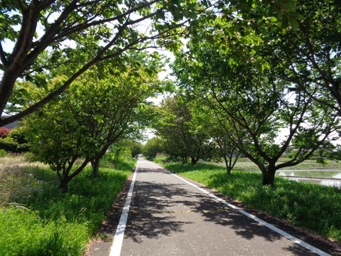 DSC01880