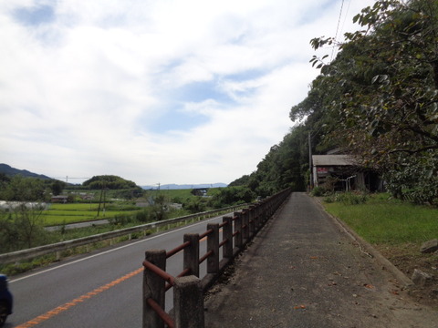 DSC02499