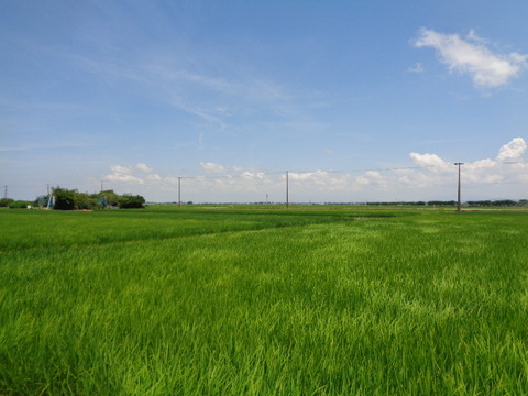 DSC08890