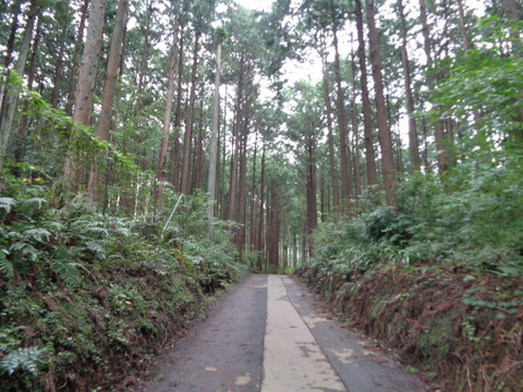 DSC05286