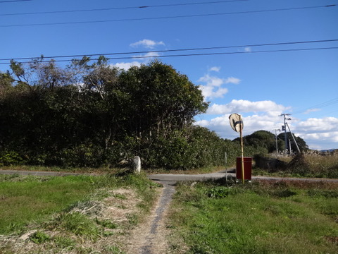 DSC01121