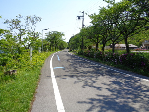 DSC03178
