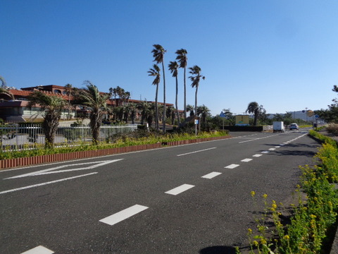 DSC01421