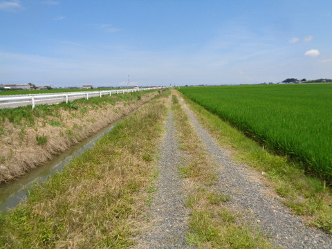 DSC08863