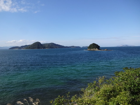 DSC09546
