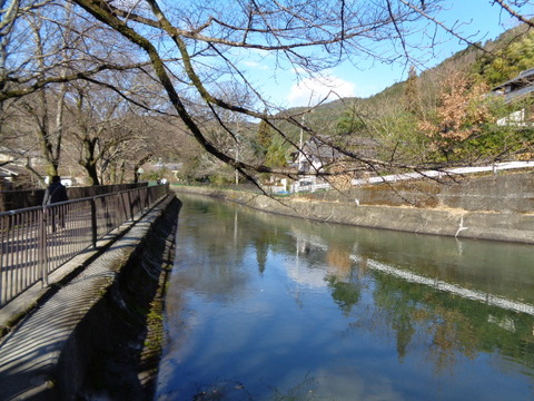 DSC03747