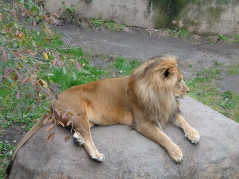 DSC03389