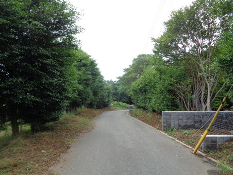 DSC01009