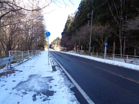 DSC00195