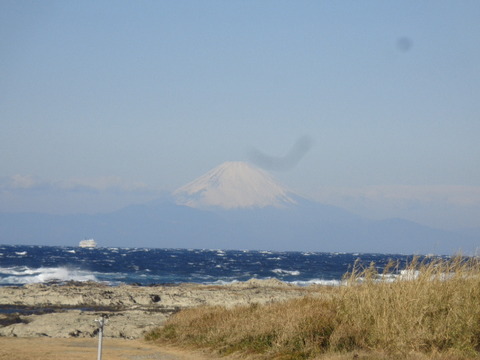 DSC01366