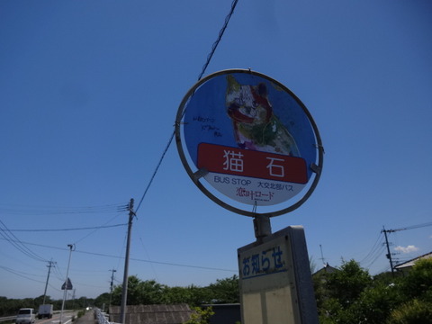 DSC06454