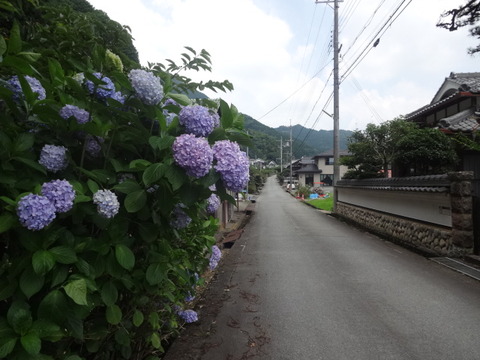 DSC08192