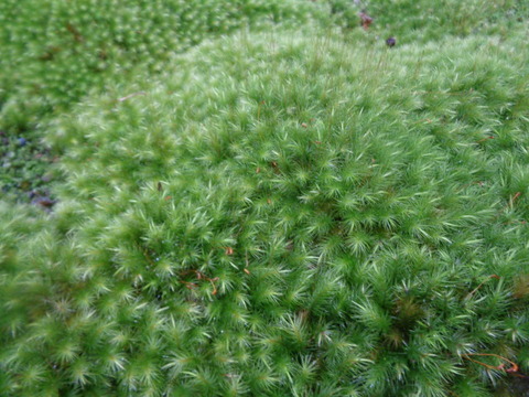 DSC01550