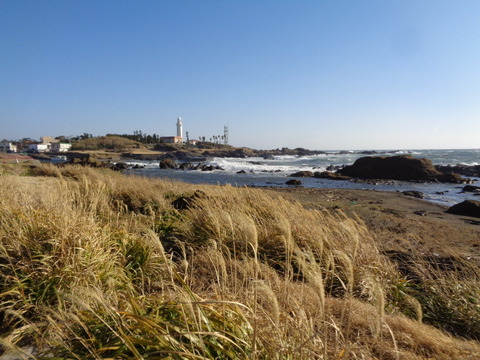 DSC01528