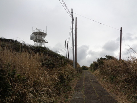 DSC08424