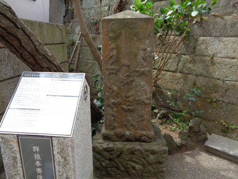 DSC07955