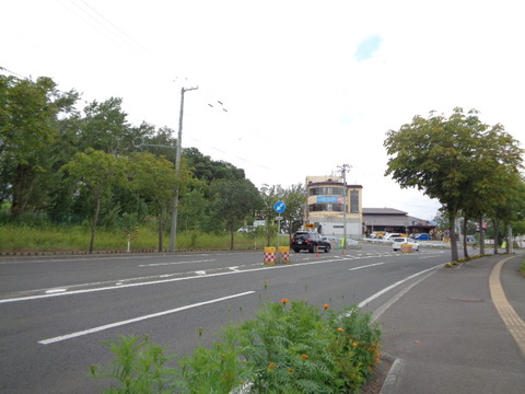 DSC04804