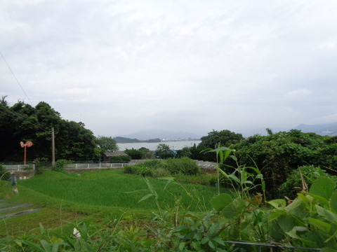 DSC01122