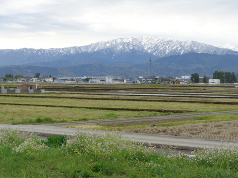 DSC05729