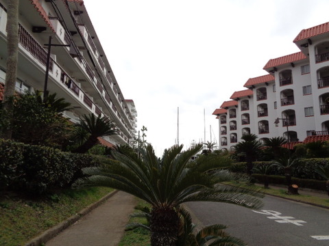 DSC08266