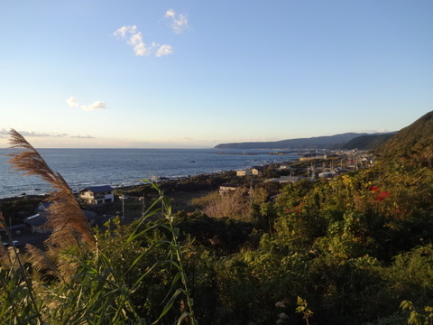 DSC01219