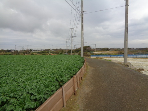 DSC08437