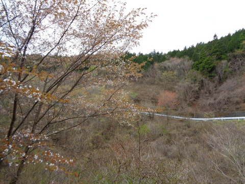 DSC00049