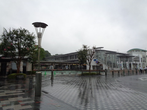 DSC04339