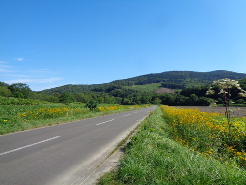 DSC04368