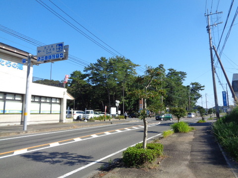 DSC00035