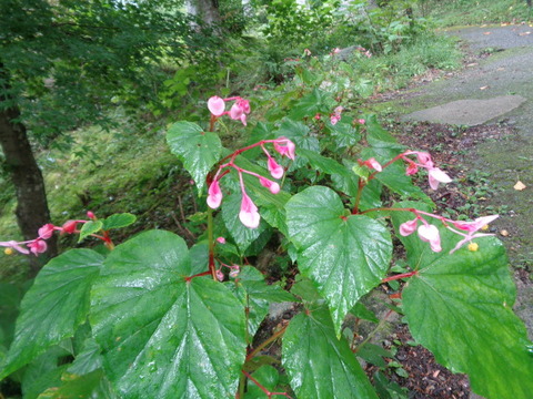 DSC01447