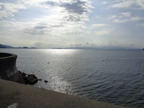 DSC05901