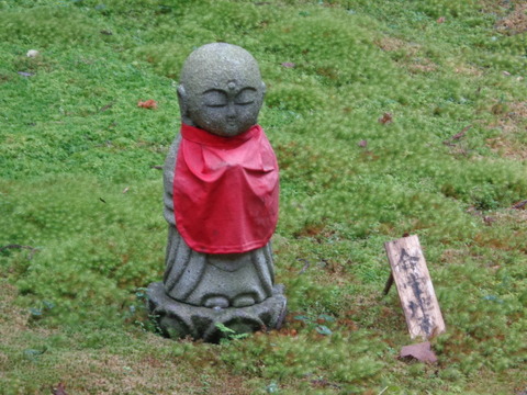 DSC01547