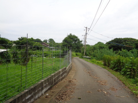 DSC01119