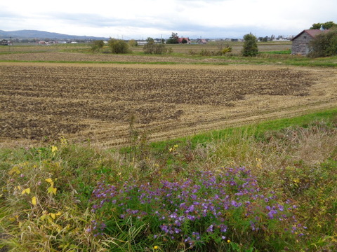 DSC02951